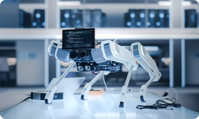 D&ouml;rt ayaklı robot